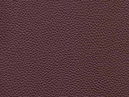 Leather Upholstery 厚面皮革系列 皮革 沙發皮革 6607 可可色